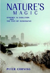 Nature's Magic: Synergy in Evolution and the Fate of Humankind (2003)