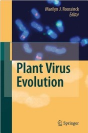 Plant Virus Evolution 